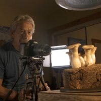 fungi time-lapse capture