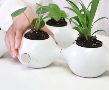 Magnapot Turns Your Workspace Into a Modular Garden magnapot