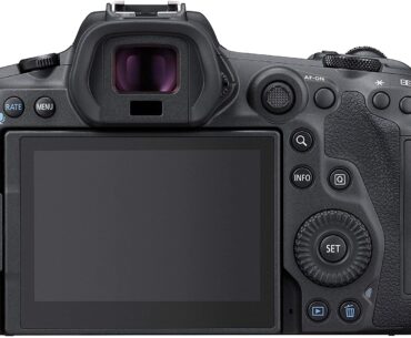 Best Cameras for Wildlife Photography in 2021