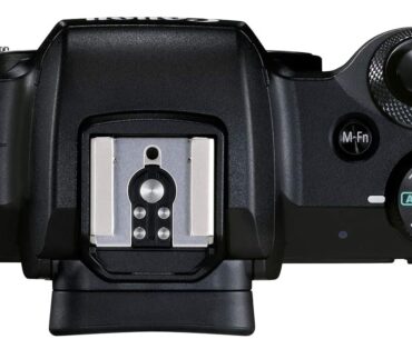 Best Budget Mirrorless Cameras for All Types of Shooters