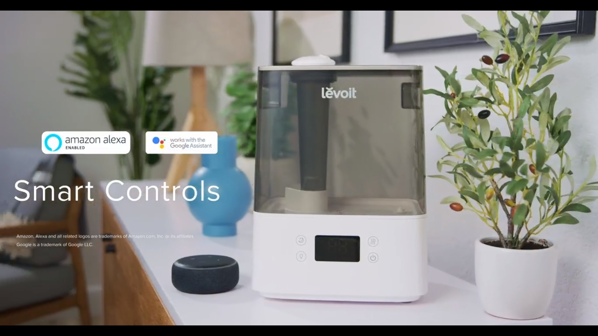 Best Humidifiers for Homes and Office Spaces