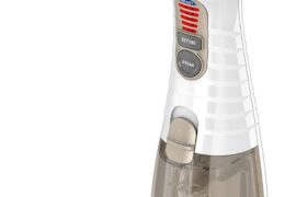 Best Garment Steamers This 2021