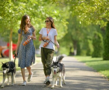 Pupsule Makes Picking Up Pet Waste a Stylish, Hands-Free Experience pupsule