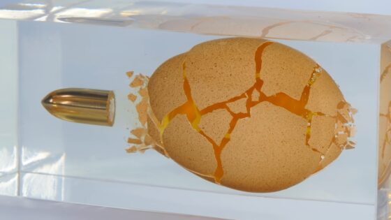 shooting bullet through resin egg