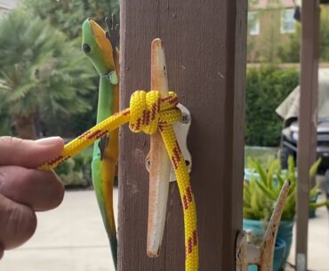 These Panic Knots Might Save Your Life panic knot