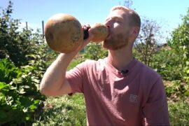 It Took TheKiwiGrower A Year To Make This Gourd Water Bottle gourd water bottle