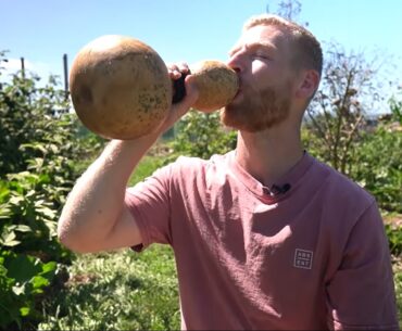 It Took TheKiwiGrower A Year To Make This Gourd Water Bottle gourd water bottle