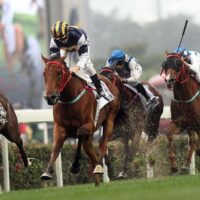 Sports betting is coming to a state near you and it's crucial that you are ready for its arrival. Here's how to get the best online betting app.