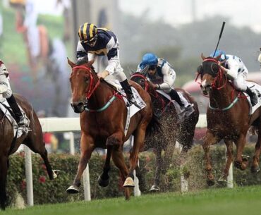 Sports betting is coming to a state near you and it's crucial that you are ready for its arrival. Here's how to get the best online betting app.