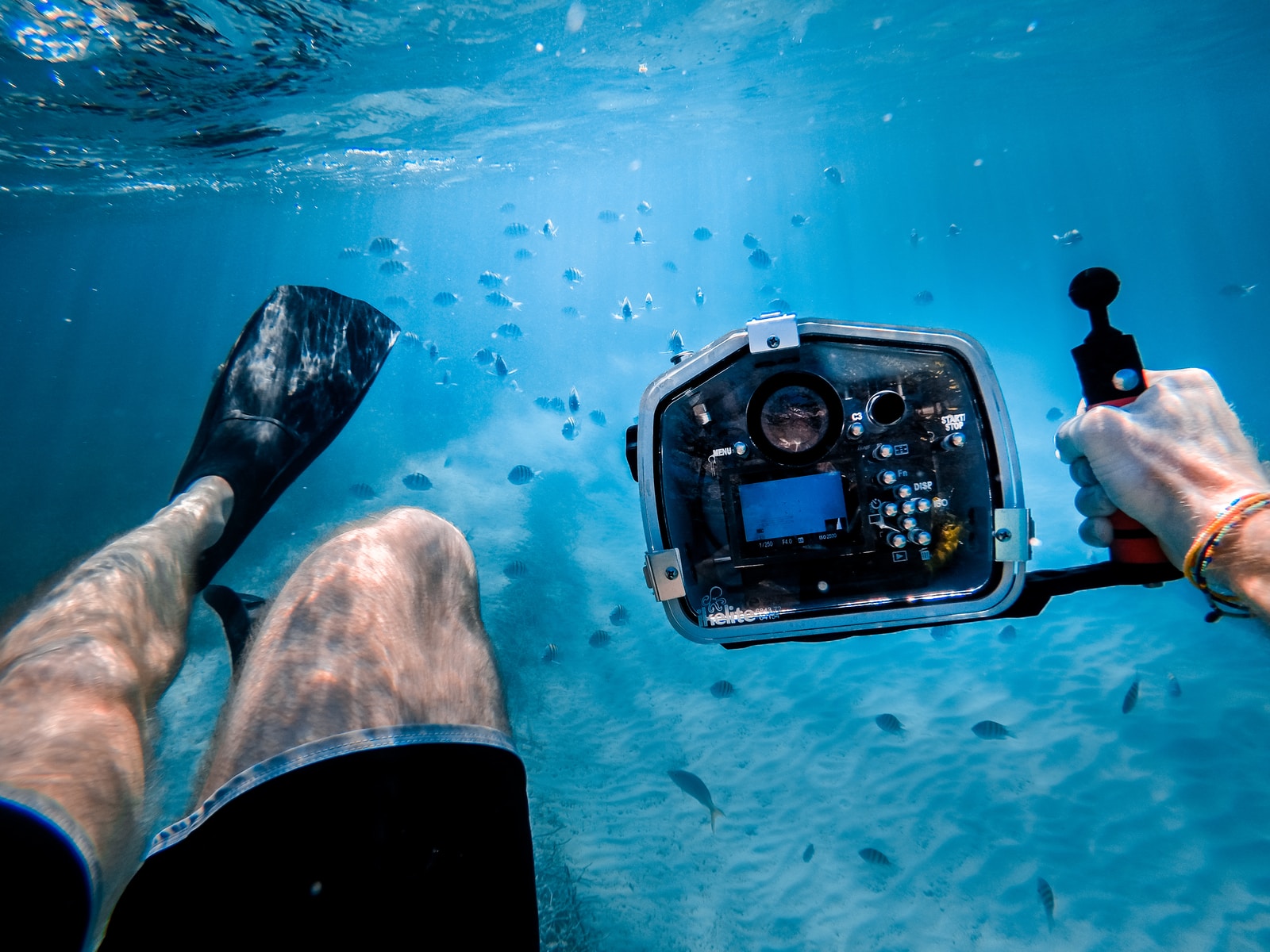 Ice Fishing Camera: A Comprehensive Buyer’s Guide man bathing under the sea while holding black camera