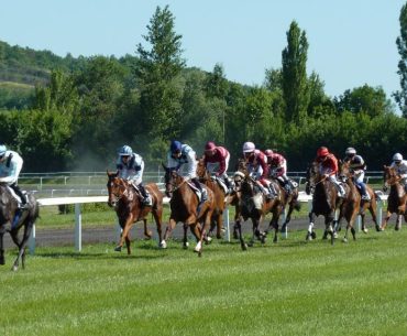 Top Tips to Help You Place Better Bets on Horse Races