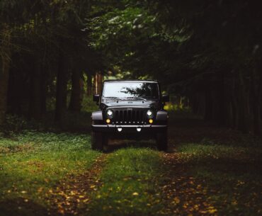 black Jeep Wrangler SUV on green under trees