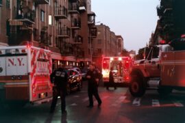 How 311 and 911 can work together to improve city living people walking on street near red and white bus during daytime