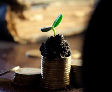 How to Start and Grow a Small Business When You Have Very Limited Funds