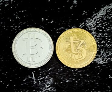 Why Has Bitcoin Gained So Much Notoriety?