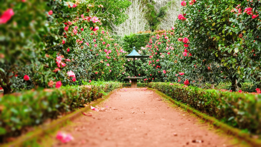 How Landscape Architecture Is Changing With Advancing Tech?