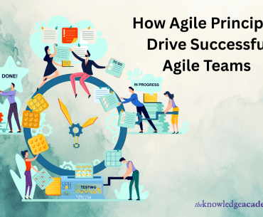 How Agile Principles Drive Successful Agile Teams