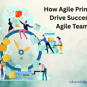 How Agile Principles Drive Successful Agile Teams